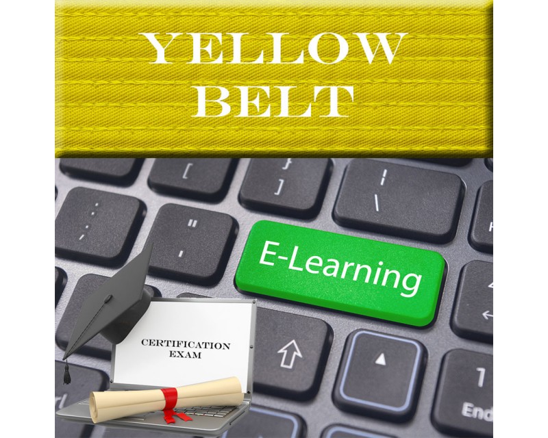 Yellow Belt