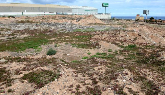 La multinacional Carreras proyecta dos naves en el solar de la plaza de toros